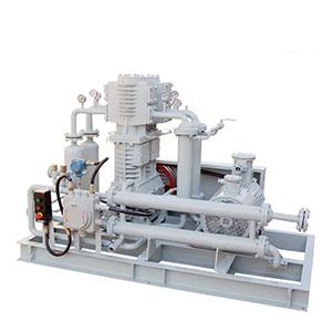 Explosion proof hydrogen compressor